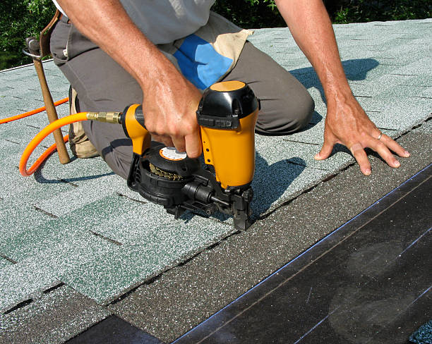 Best Roof Gutter Cleaning  in Paintsville, KY